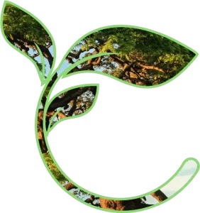 Master-Podas-banner